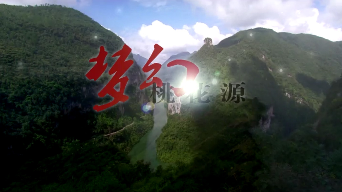 夢(mèng)幻桃花源