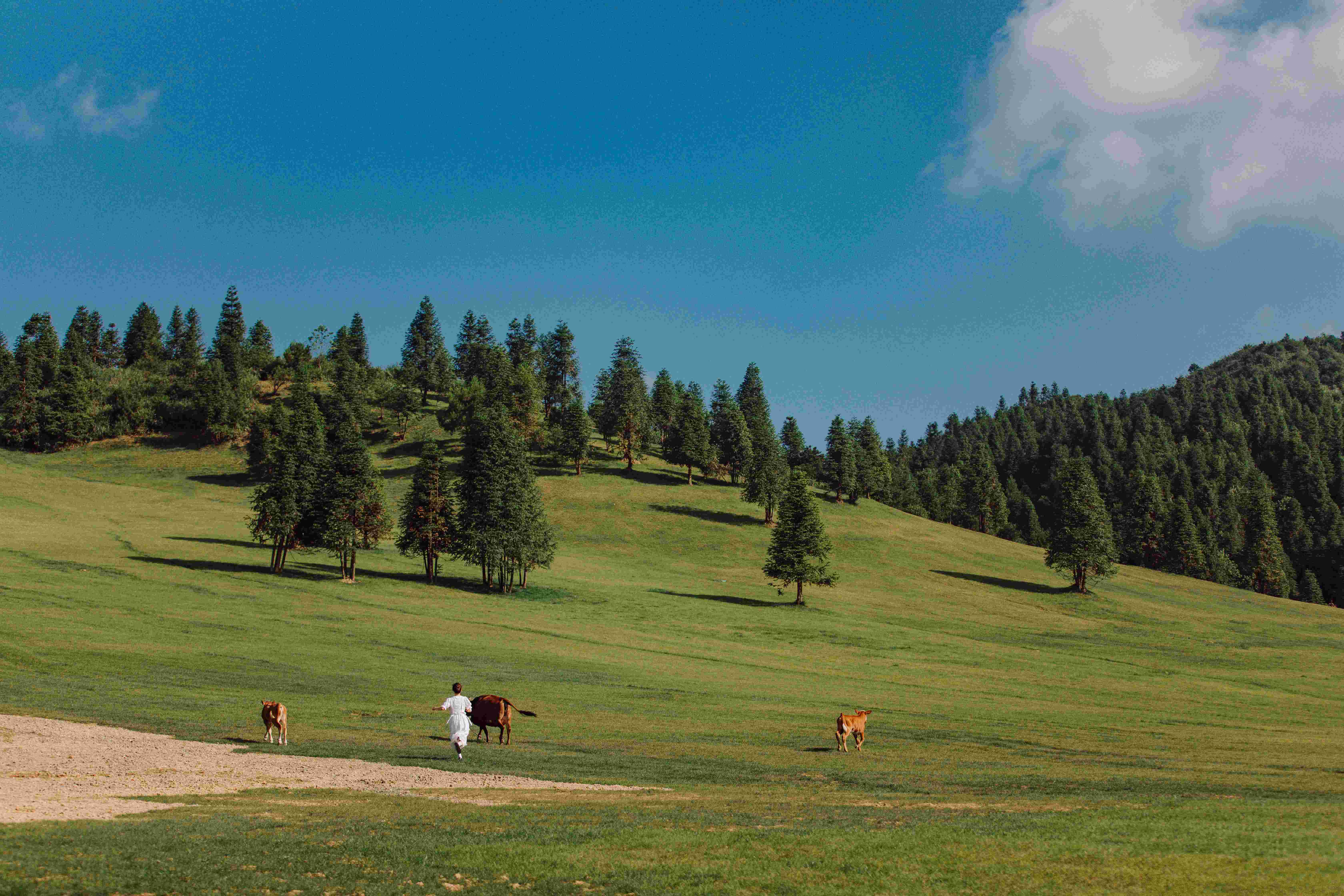 五一暢游酉陽||神龜峽探秘×花田踏青×草原逐風(fēng)，反向出行帶你玩轉(zhuǎn)詩意假期！